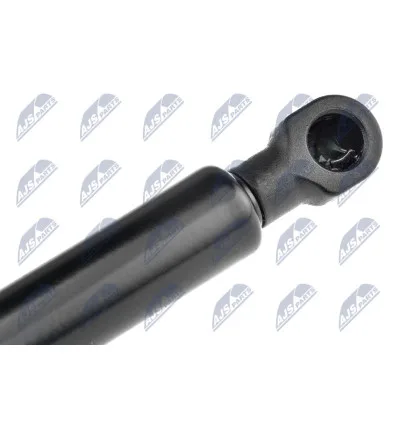Tailgate gas strut for Renault