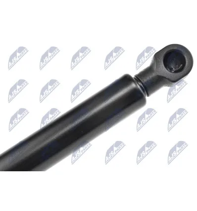 Tailgate gas strut for Renault