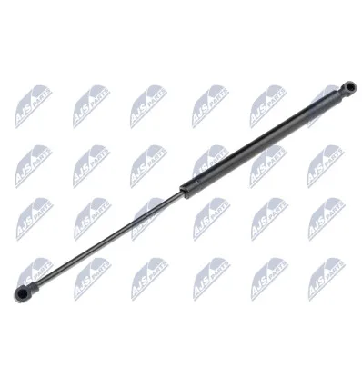Tailgate gas strut for Renault