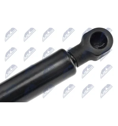 Tailgate gas strut for Renault