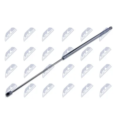 Tailgate gas strut for Renault