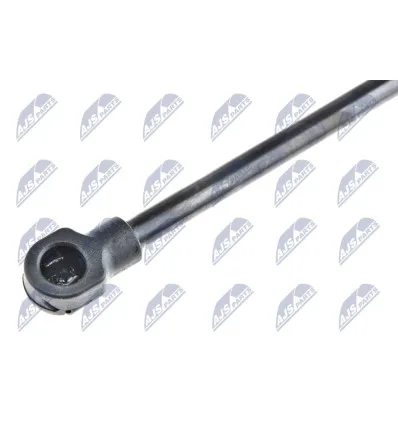 Tailgate gas strut for Renault