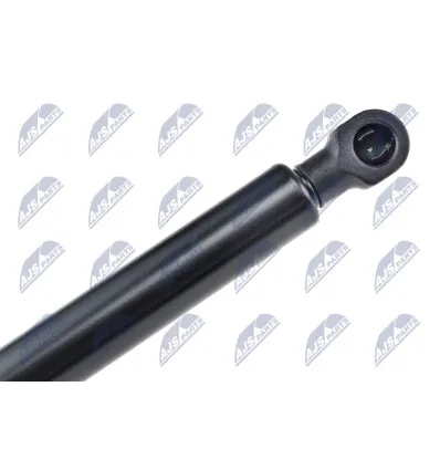 Tailgate gas strut for Renault