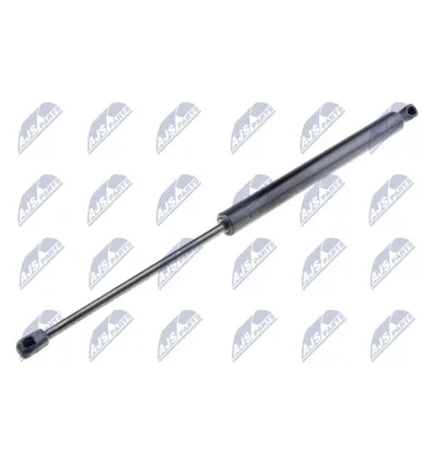 Tailgate gas strut for Renault