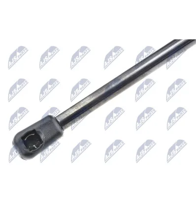 Tailgate gas strut for Renault