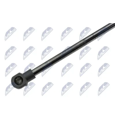 Tailgate gas strut for Renault