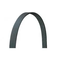 Courroie Poly-V pour Audi Bmw Chevrolet Ford Opel Porsche Renault Rover Seat Skoda Volvo Volkswagen