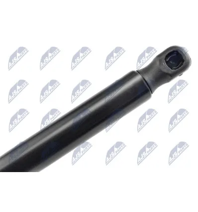 Tailgate gas strut for Volkswagen