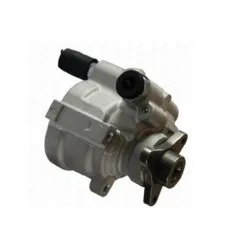 Pompe de direction assistée pour Renault Clio 2 Renault Laguna 2 Mégane Renault Scénic Renault Kangoo Logan Sandero