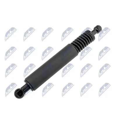 Tailgate gas strut for Porsche