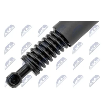 Tailgate gas strut for Porsche