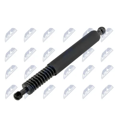 Tailgate gas strut for Volkswagen