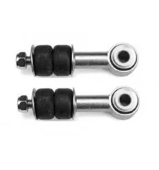 2x Biellette de barre stabilisatrice pour Citroën Evasion Jumpy Peugeot 806 Expert Fiat Ulysse Scudo