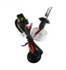 Ampoules Xénon H7 55W 6000k blanc