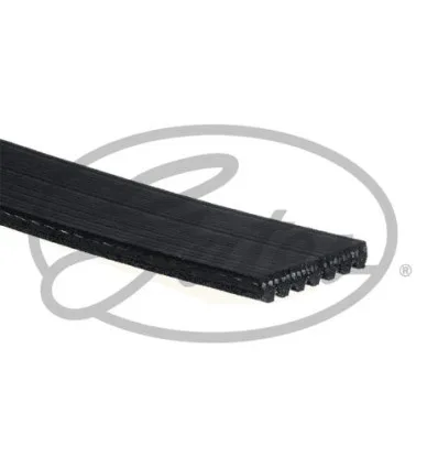 Courroie d'accessoires Gates 7PK1570
