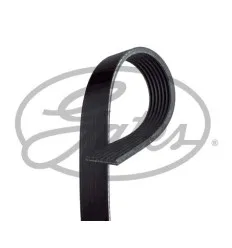 Courroie d'accessoires Gates 7PK1570 pour Dacia Mercedes-benz Nissan Renault