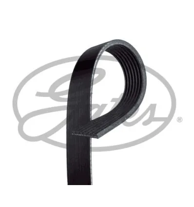 Courroie d'accessoires Gates 7PK1570