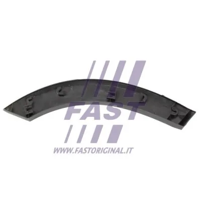 Baguette and protective wing strip compatible with Ford