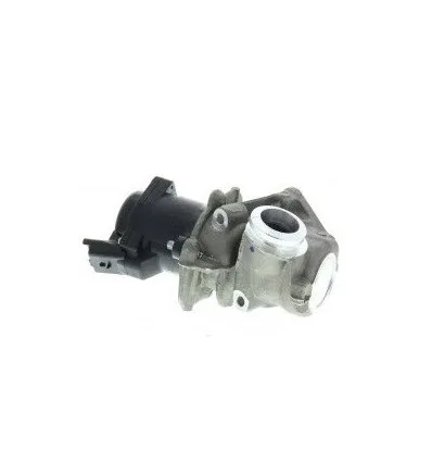 Vanne Egr Citroen Peugeot Ford Toyota