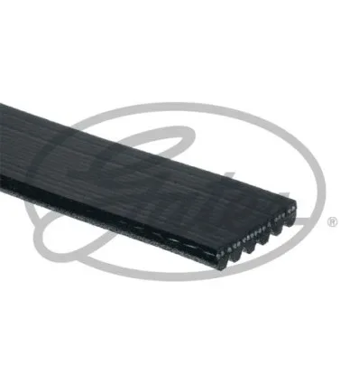 Courroie d'accessoires Gates 6PK975 pour Alfa romeo Citroën Ds Ford Hyundai Mini Peugeot Seat Skoda Suzuki Volvo Volkswagen
