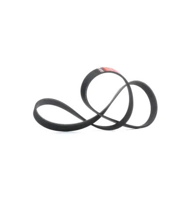 Courroie d'accessoires Gates 5PK1103