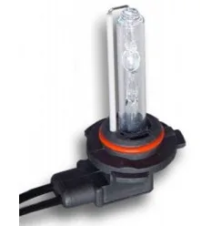 Ampoules Xénon HB3 12v 55W