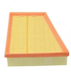 Renault air filter