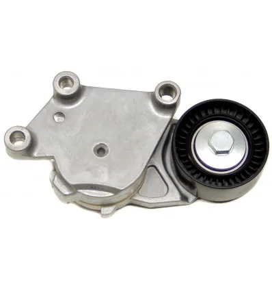Galet Tendeur Citroen C1 C2 C3 C4 Peugeot 107 206 307 1007 Ford Fiesta Focus C-max Mini Toyota Aygo Volvo C30. S40 V50 V70
