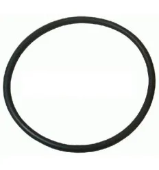 Joint torique de thermostat pour BMW diametre 60mm