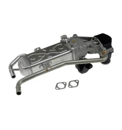 Vanne Egr Audi Seat Skoda Volkswagen