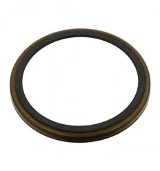 Renault Espace 4 Laguna 2 Scenic 2 Velsatis Abs bushing