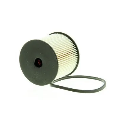 Filtre à carburant pour Citroën Fiat Peugeot 2.0 Hdi / Jtd 2.2 Hdi
