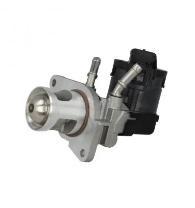 Vanne EGR pour BMW Série 1 3 5 6 7 X1 X3 X5 X6