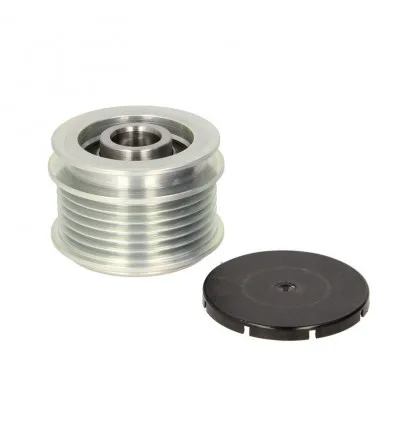 Poulie roue libre alternateur pour Audi Dodge Ford Jeep Seat Škoda Volkswagen
