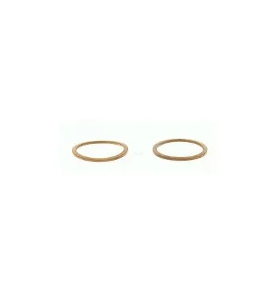 Drain plug gasket Alfa Romeo Chrysler Ford Opel Renault