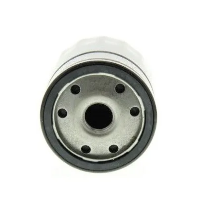 Filtre à huile pour Citroën Peugeot Lancia 1.9 D 2.0Hdi 2.2 Hdi