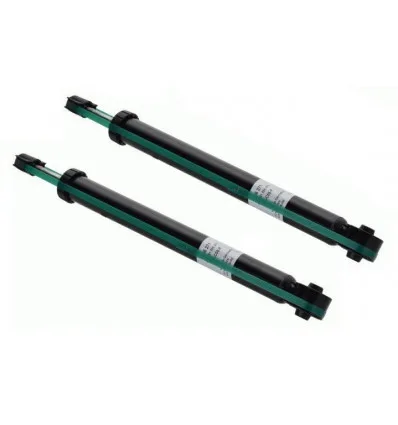 Pack de 2 amortisseurs arrière pour Audi A3 Seat Leon Toledo Škoda Octavia Volkswagen Bora Golf 4 1.9 tDi