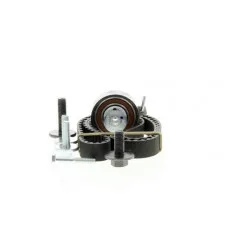 Kit distribution pour Ford B-Max C-Max Fiesta Focus Mondeo Mazda 2 Volvo C30 S40 V50 1.25 1.4 1.6 i