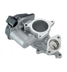 Vanne EGR pour Audi A4 A6 2.0 tDi