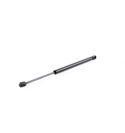 Ford Focus trunk cylinder
