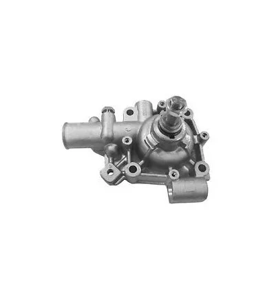 Pompe à eau Iveco Daily 3 pour Renault Mascott