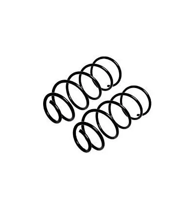 Peugeot 307 front suspension springs