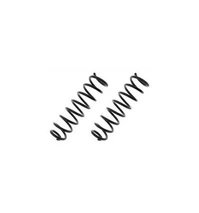 Renault Megane 2 rear suspension springs