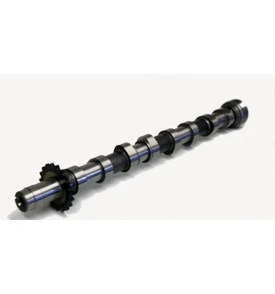 Arbre a came pour Citroën Fiat Ford Peugeot 2.0