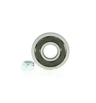 Wheel Renault R8 R10