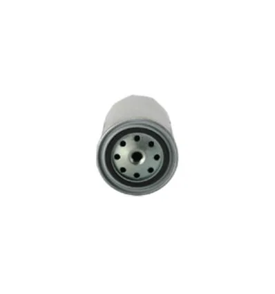 Filtre à carburant pour Iveco EuroCargo Eurostar EuroTrakker Stralis