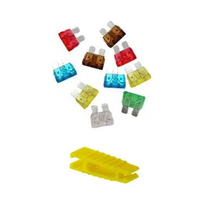 Box of 10 standard fuses with clamp