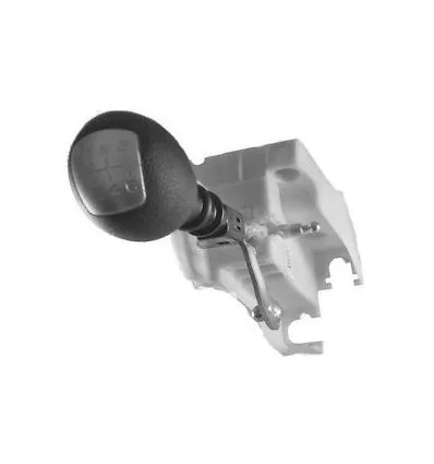 Levier de vitesses pour Iveco Daily (Boite 6 vitesses)
